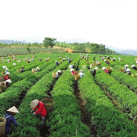 Ngoc Vy Hotel 바오록 외부 사진